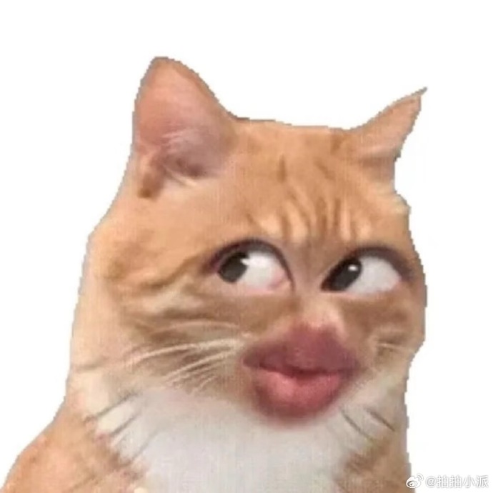 手机越卖越贵，但我躲进了一个“没前途”的国产App里不敢出来